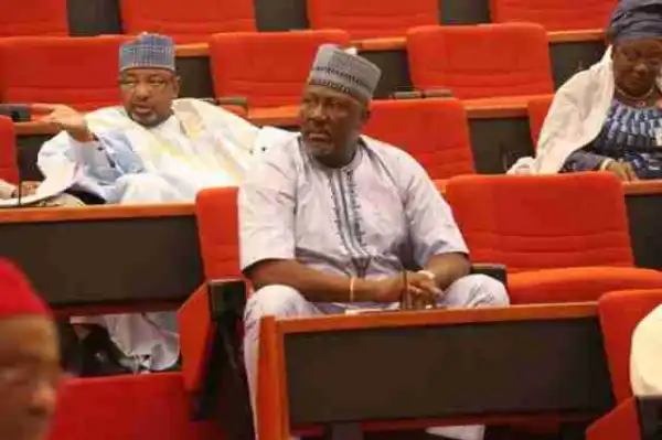Dino Melaye Builds Schools For His Constituency (Photos)